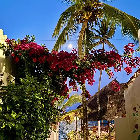 Avo Boutique Hotel-3